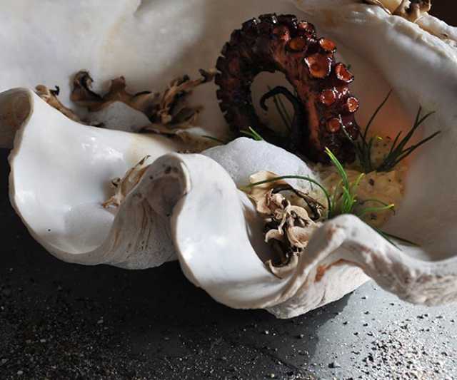 Sophisticated octopus dish served in a seashell
