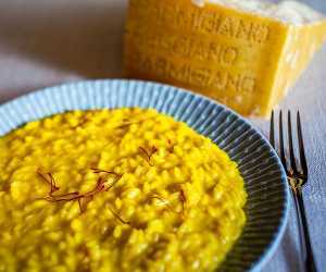 Risotto made with lashings of cream and saffron