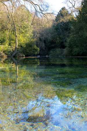 Win a trip to the Silent Pool distillery