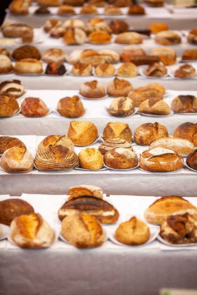 Sourdough loaves at the World Bread Awards judging