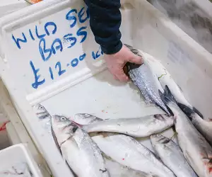 Billingsgate Market