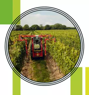 Gusbourne wines