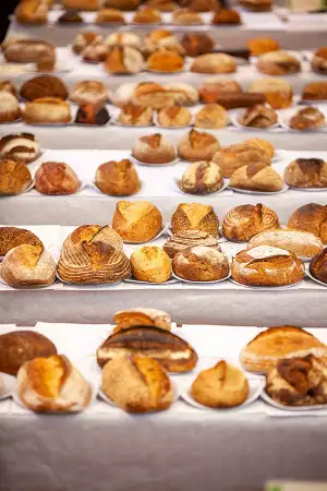 Sourdough loaves at the World Bread Awards judging