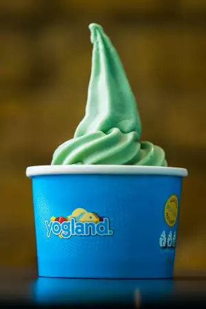 Yogland cannabis froyo