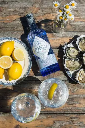 Citadelle Gin