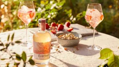 Non-alcoholic spirits: Everleaf Mountain