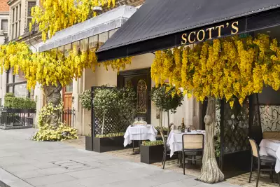 The terrace at Scott's with Perrier-Jou&euml;t