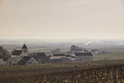 Morey-Saint-Denis in Burgundy