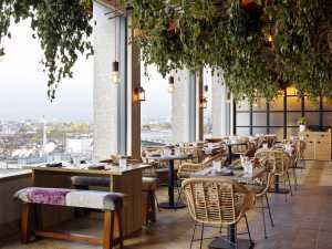 Restaurants and bars Regent Street: The Nest at Treehouse