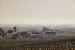 Morey-Saint-Denis in Burgundy