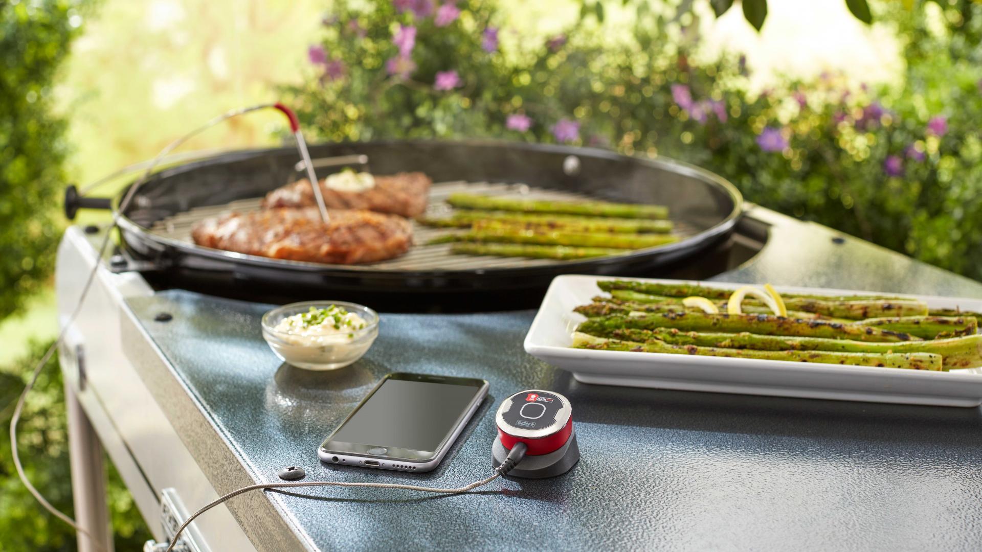 iGrill by Weber iGrill by Weber