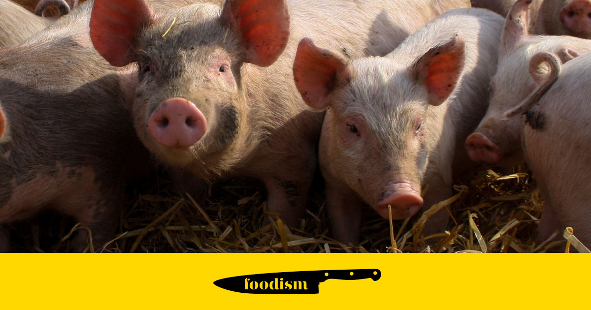 Meat and greet Ginger Pig, London's most fashionable butcher Foodism