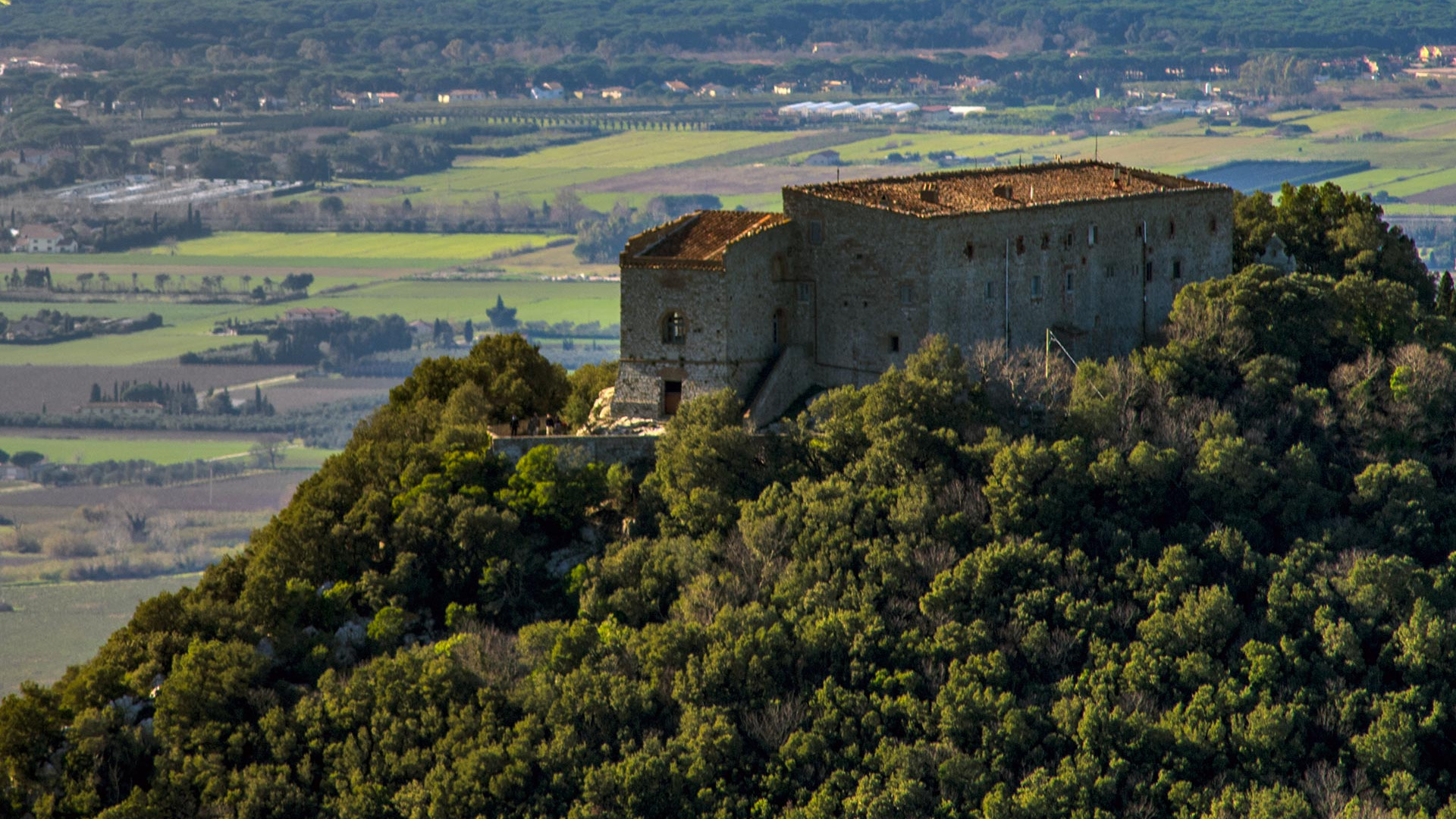 The Tentu San Guido estate in Tuscany The Tentu San Guido estate in Tuscany