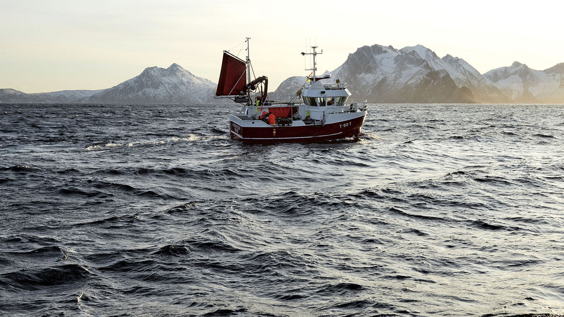 A Skrei fishing boat in northern Norway (photograph by Steve Lee) A Skrei fishing boat in northern Norway (photograph by Steve Lee)