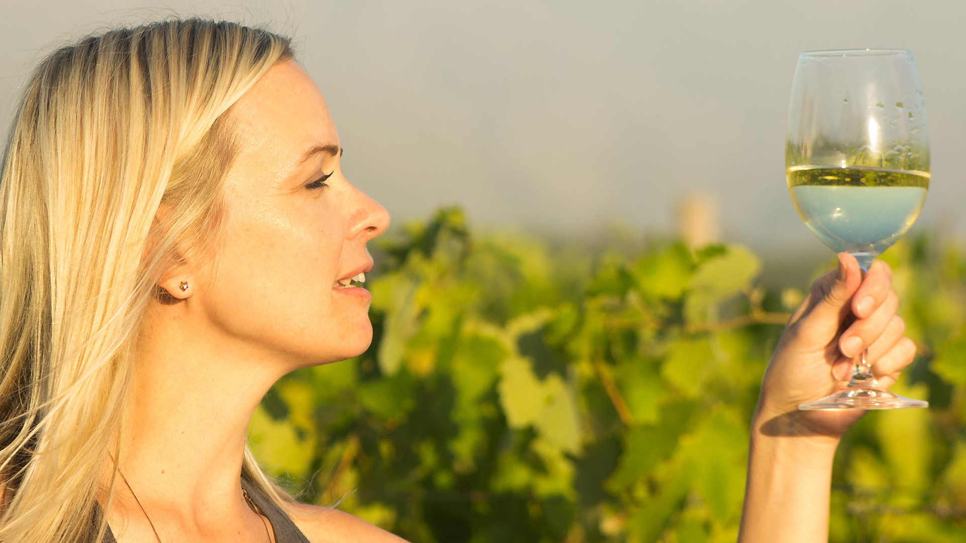 Win a place on The London Wine Academy's Beginners Evening Wine Course