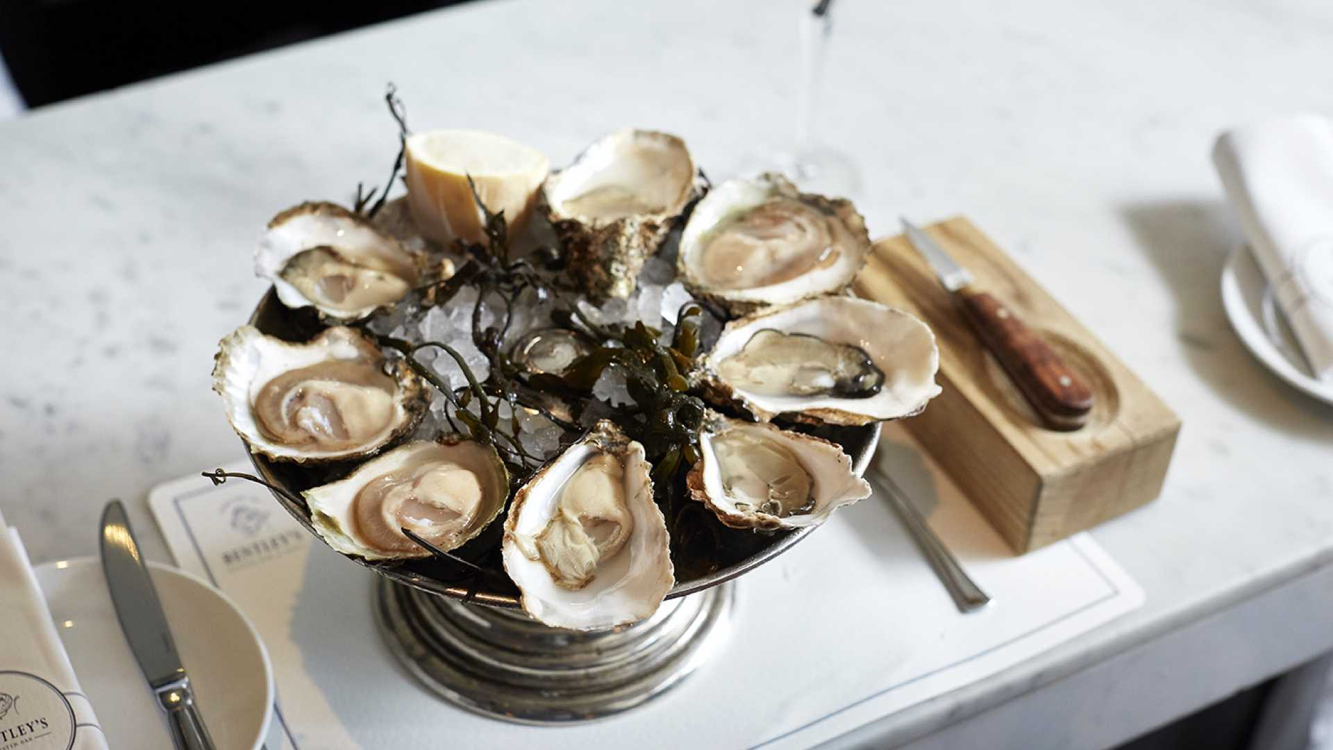 The biggest oyster I've ever seen Foodism