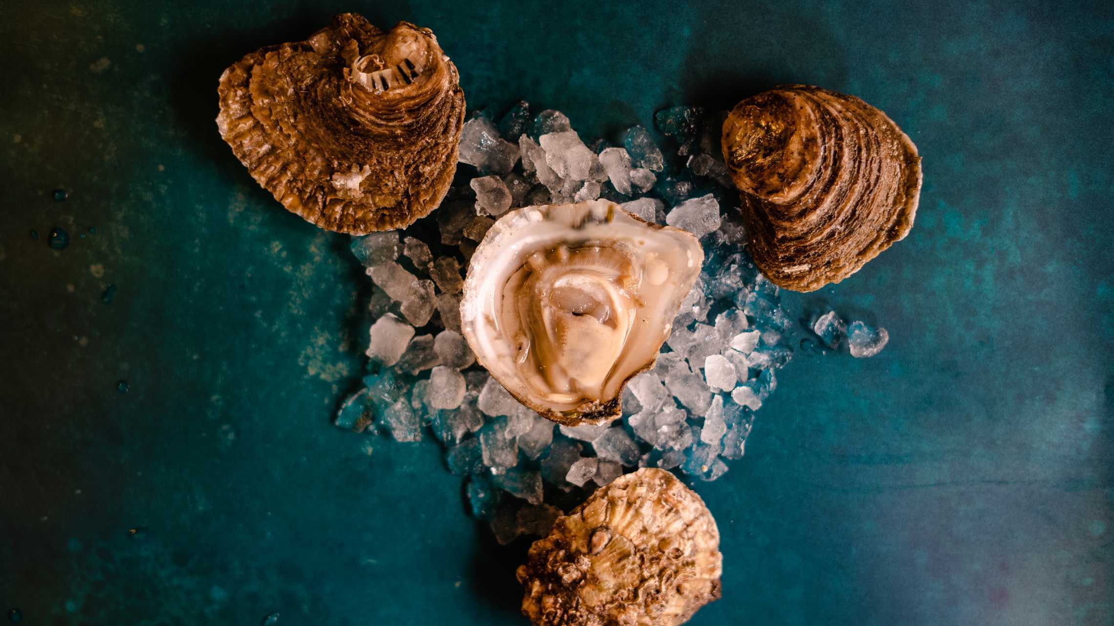 What are native oysters and how should you eat them? Foodism