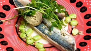 Pescatori's recipe for curing mackerel