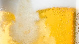 The art of homebrewing