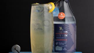 Make Ed Hughes’ The Hopster Collins Make Ed Hughes’ The Hopster Collins