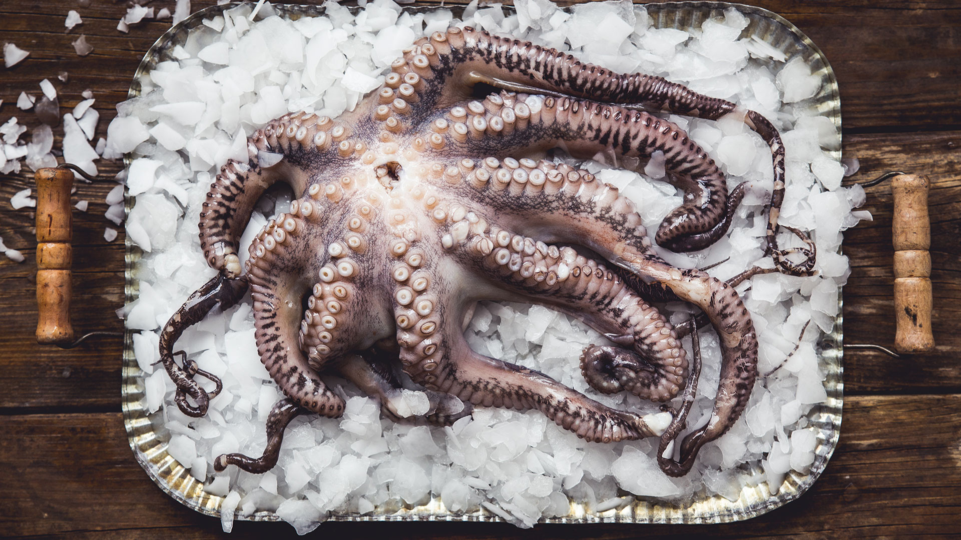 Pink Lady Food Photographer of the Year Cream of the Crop, Petra Novotna, Octopus on Ice Pink Lady Food Photographer of the Year Cream of the Crop, Petra Novotna, Octopus on Ice