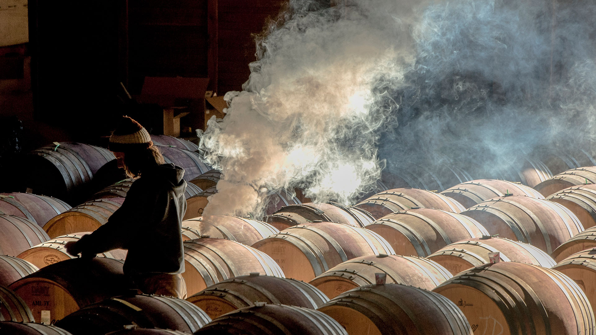 Pink Lady Food Photographer of the Year Errazuiz Wine Photographer of the Year, Robert Holmes, Mayasara Winery Pink Lady Food Photographer of the Year Errazuiz Wine Photographer of the Year, Robert Holmes, Mayasara Winery