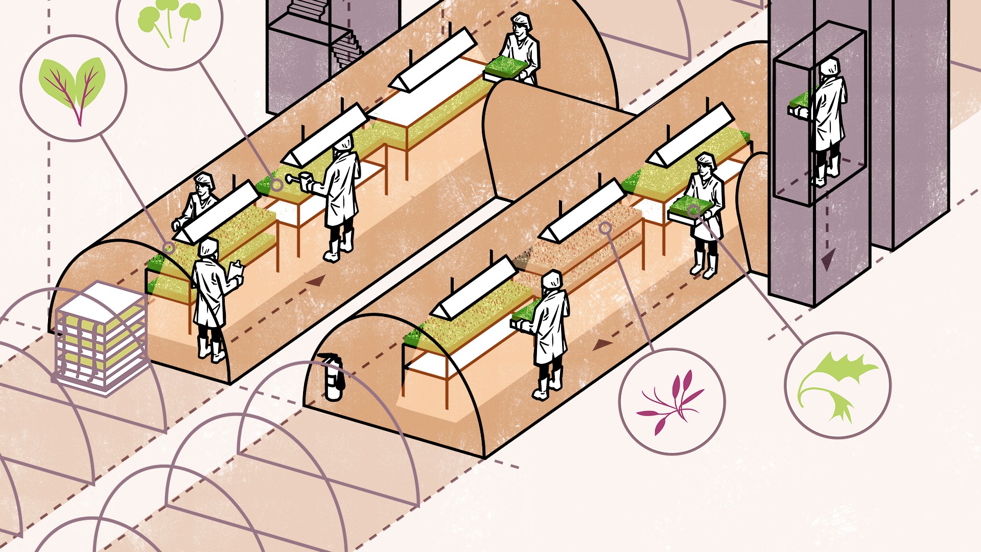 Growing Underground below the surface of London's subterranean farm