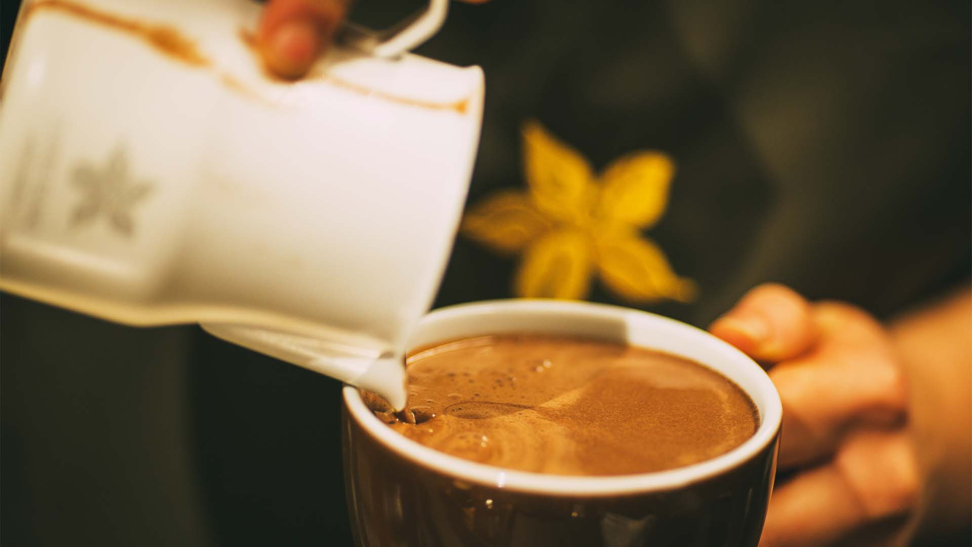 The top five reasons to make Coffee Island your new specialty coffee