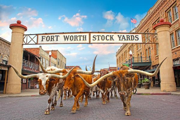 Stockyards in Forth Worth