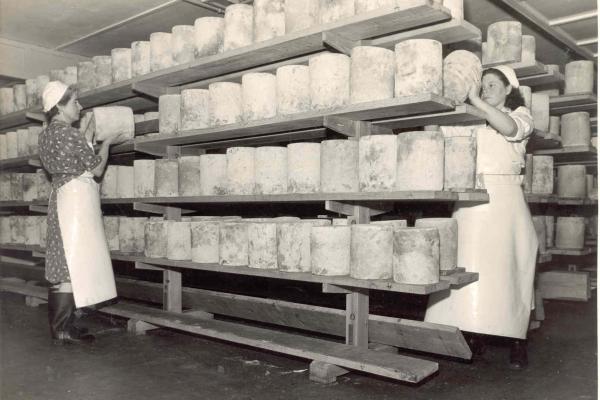 Stilton production in the 1950s