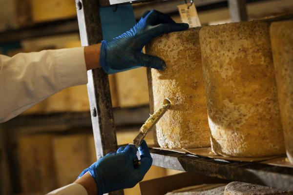 Grading the stilton