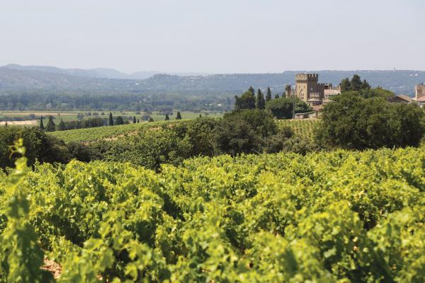 Châteauneuf-du-Pape