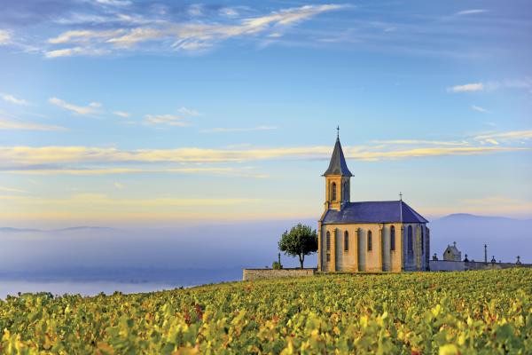 The church of Saint-Laurent-d’Oingt presiding over the vineyards