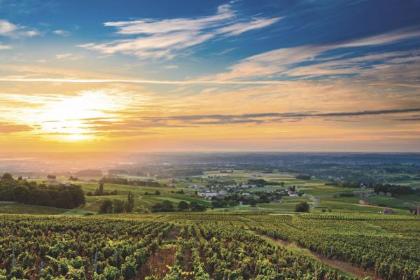 Beautiful sunset over Beaujolais vineyards