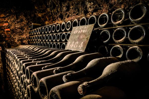 Bottles collect dust in the cellars