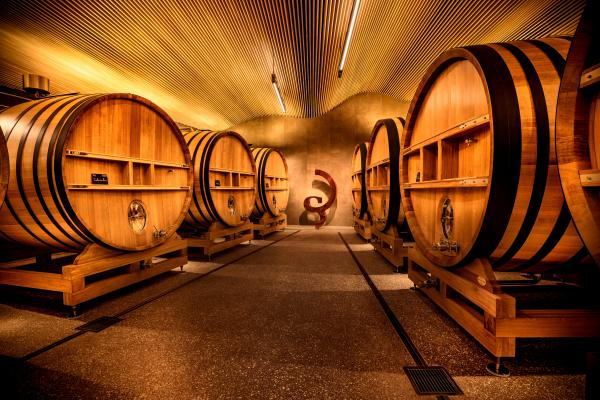 Barrels in the cellar