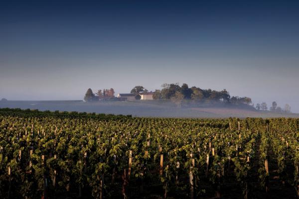 Château Quintus