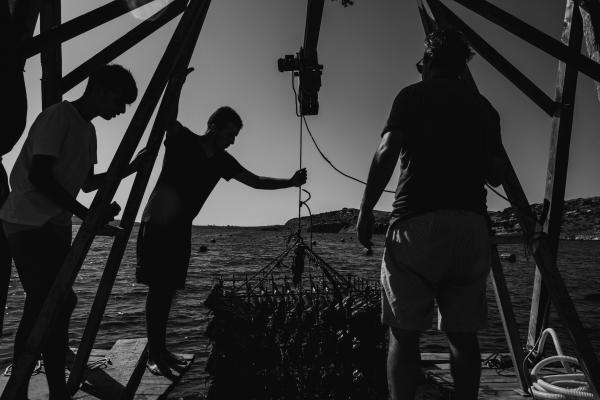 Pulling the wine cage out of the sea