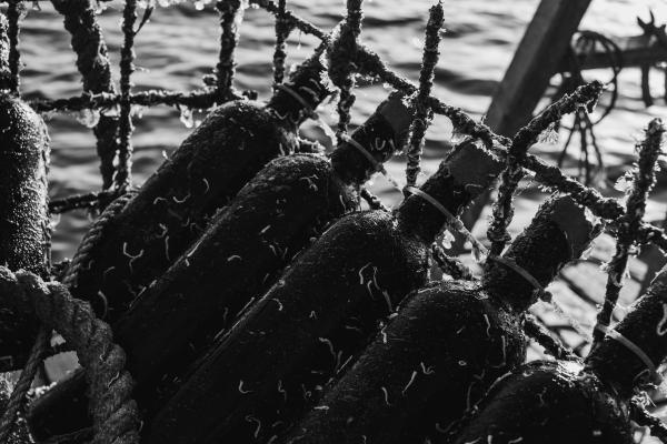 Bottles of wine emerging from the sea