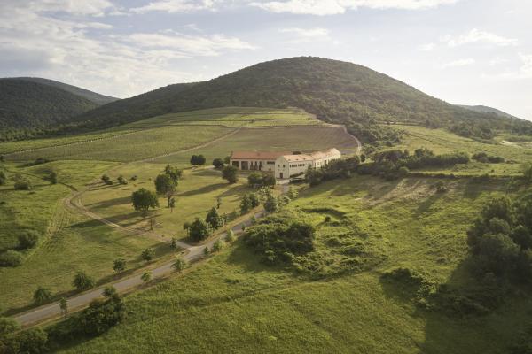 The vineyards of Tokaj