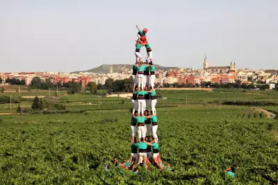 Castellers de Vilafranca practising in the vineyards of Pened&egrave;s