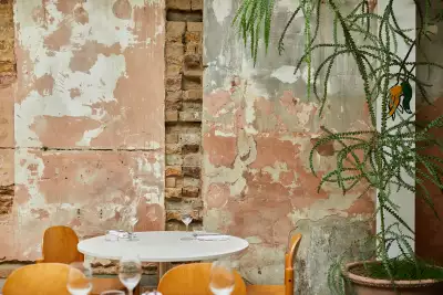 Saltine, interiors