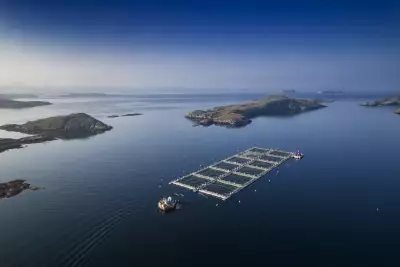 Salmon pens