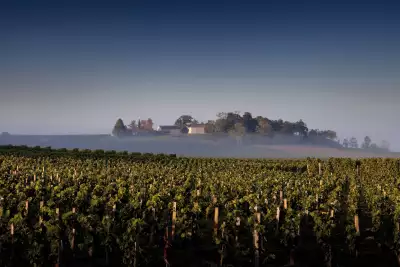 Château Quintus