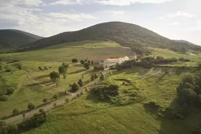 The vineyards of Tokaj