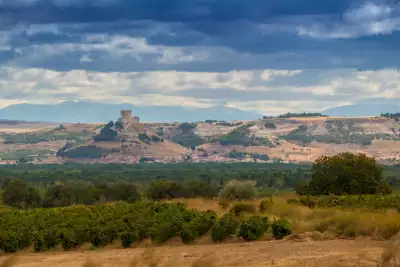 Ribera del Duero wine