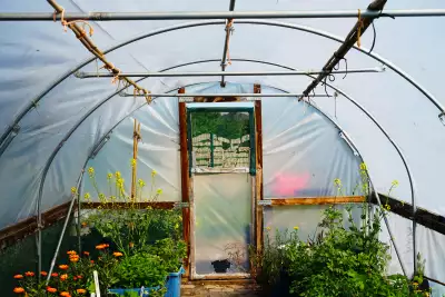Greenhouse at Glengall Wharf Garden