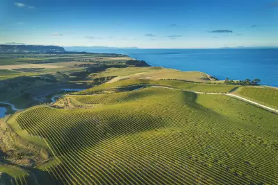 Yealands Seaview Vineyard