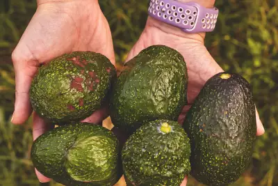 Avocados