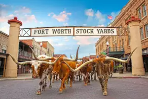 Stockyards in Forth Worth